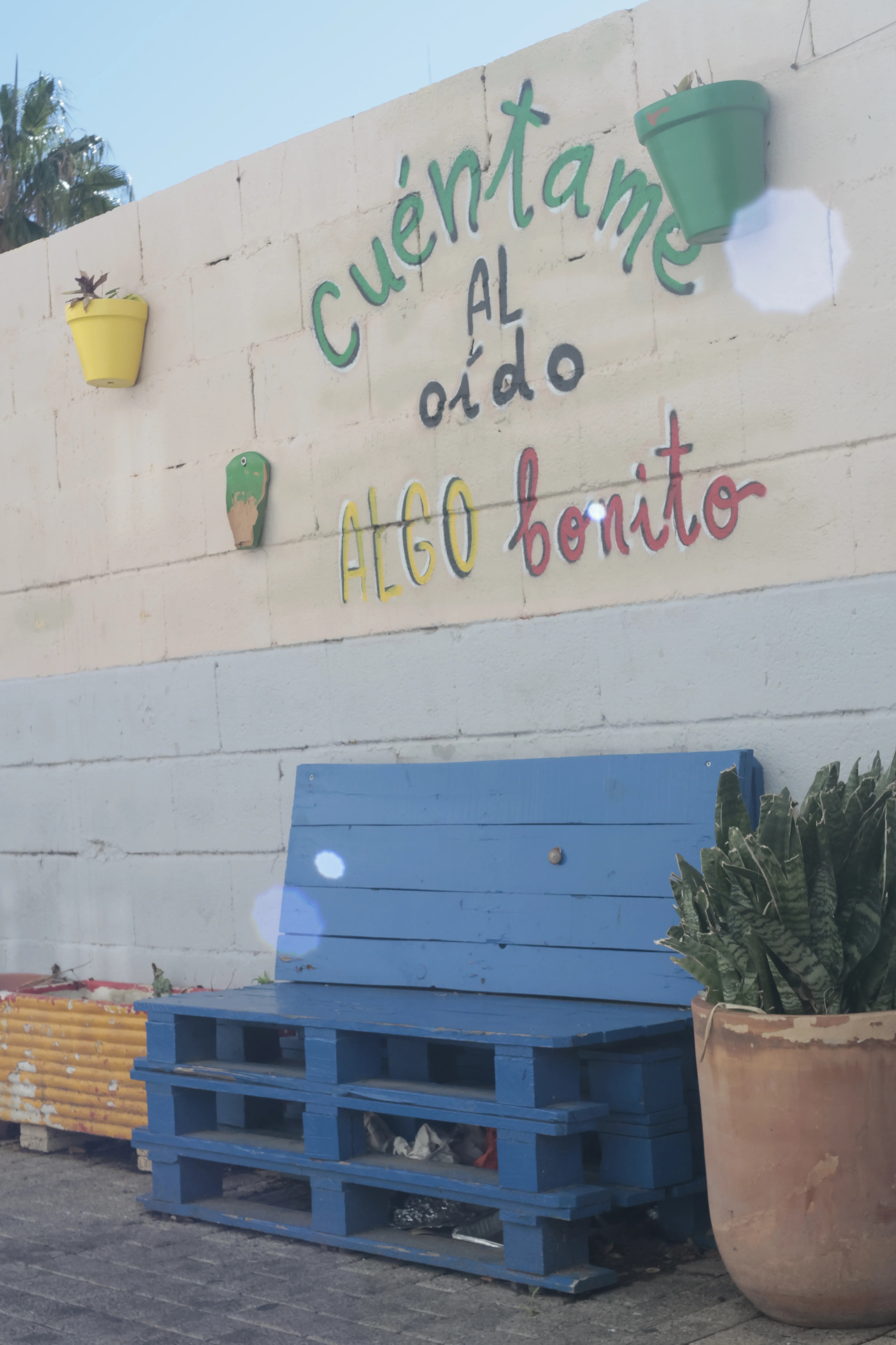 Meyer-Optik Görlitz Primagon 35mm f4.5 (M42) - _I4A0888.jpg